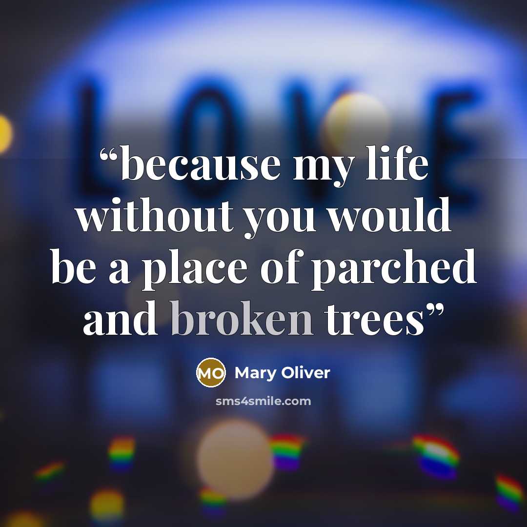 “because my life without you would be a place of parched and broken trees” quote by Mary Oliver