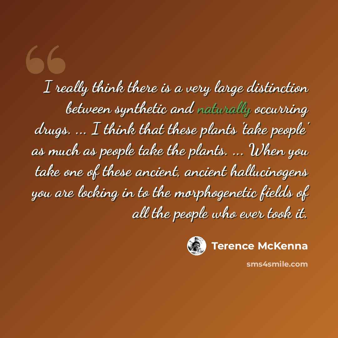 “I really think there is a very large distinction between synthetic and naturally occurring drugs. ... I think that these plants 'take people' as much as people take the plants. ... When you take one of these ancient, ancient hallucinogens you are locking in to the morphogenetic fields of all the…” quote by Terence McKenna
