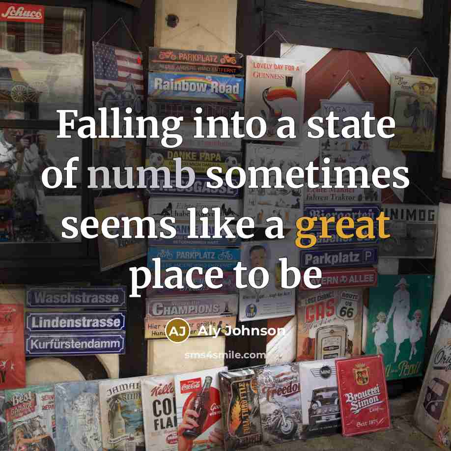 “Falling into a state of numb sometimes seems like a great place to be” quote by Aly Johnson