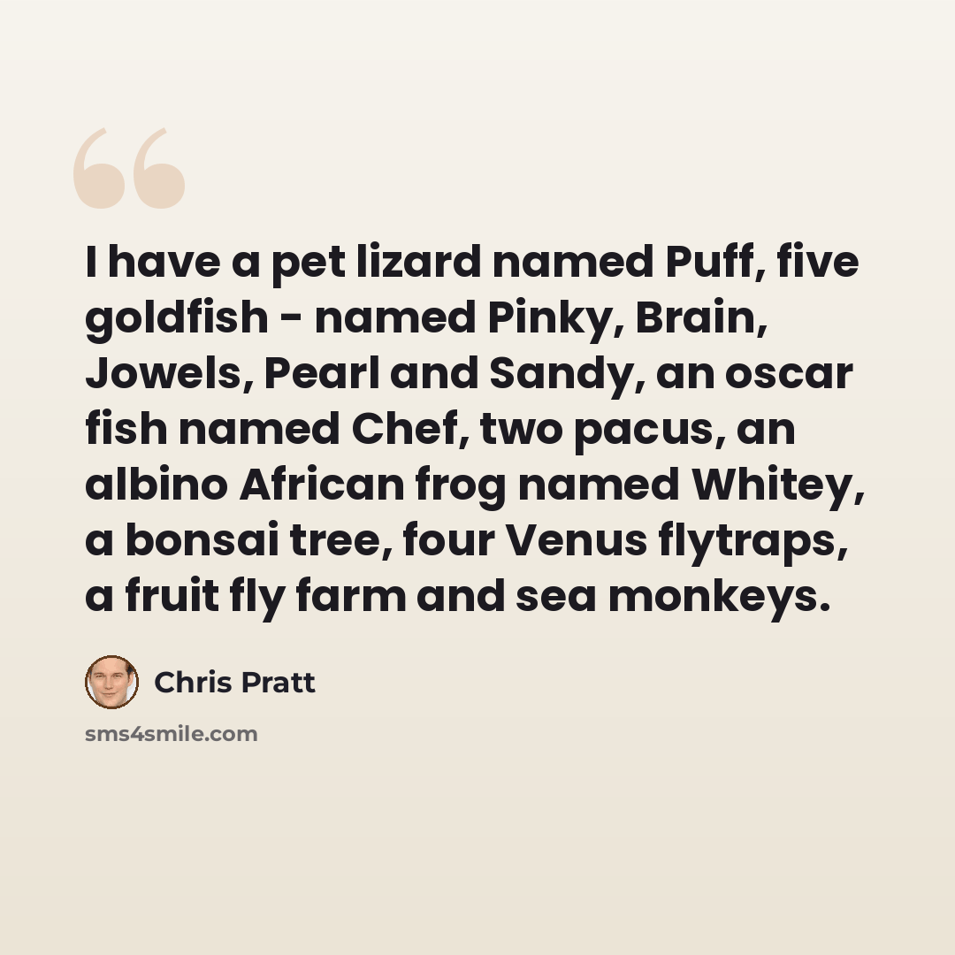 “I have a pet lizard named Puff, five goldfish - named Pinky, Brain, Jowels, Pearl and Sandy, an oscar fish named Chef, two pacus, an albino African frog named Whitey, a bonsai tree, four Venus flytraps, a fruit fly farm and sea monkeys.” quote by Chris Pratt