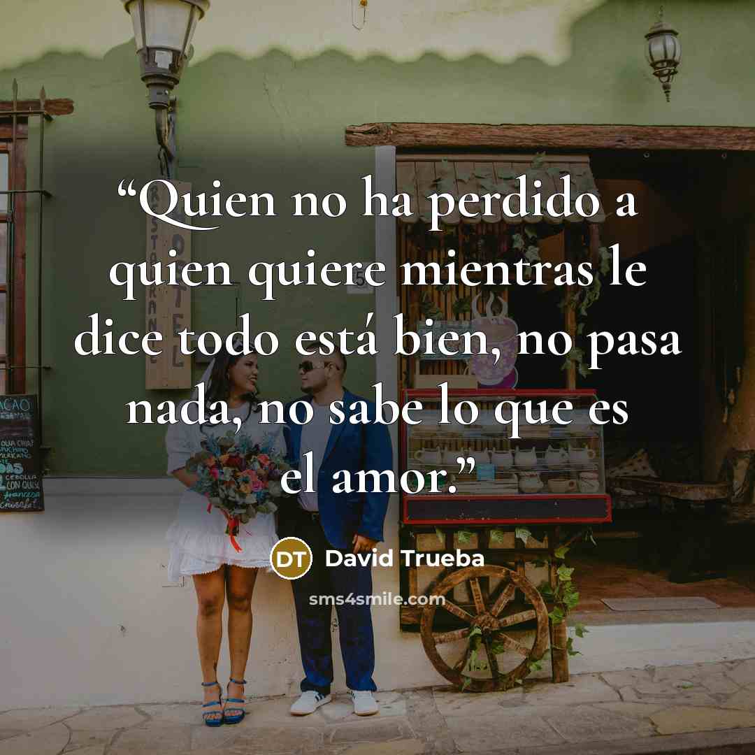 “Quien no ha perdido a quien quiere mientras le dice todo está bien, no pasa nada, no sabe lo que es el amor.” quote by David Trueba