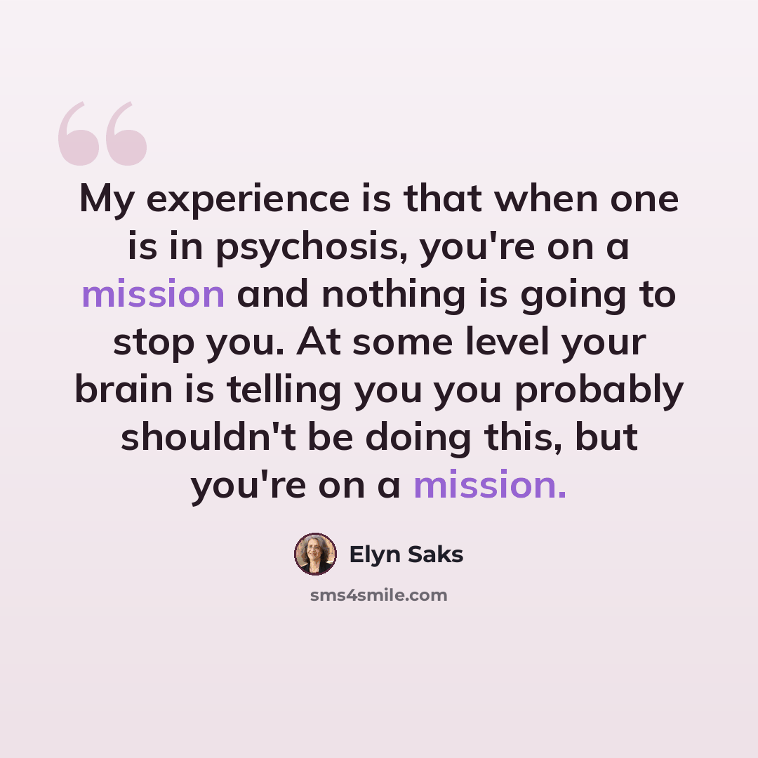 “My experience is that when one is in psychosis, you're on a mission and nothing is going to stop you. At some level your brain is telling you you probably shouldn't be doing this, but you're on a mission.” quote by Elyn Saks