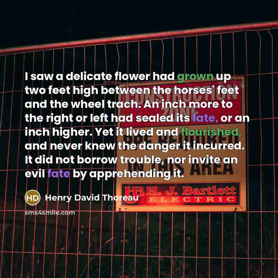 “I saw a delicate flower had grown up two feet high between the horses' feet and the wheel trach. An inch more to the right or left had sealed its fate, or an inch higher. Yet it lived and flourished, and never knew the danger it incurred. It did not borrow trouble, nor invite an evil fate by…” quote by Henry David Thoreau