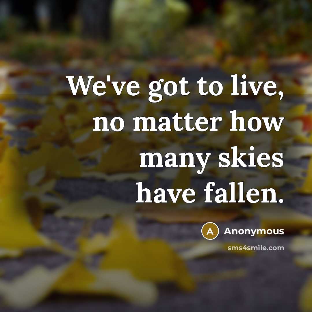 “We've got to live, no matter how many skies have fallen.” quote by Anonymous