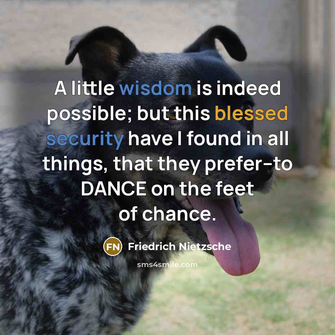 “A little wisdom is indeed possible; but this blessed security have I found in all things, that they prefer--to DANCE on the feet of chance.” quote by Friedrich Nietzsche