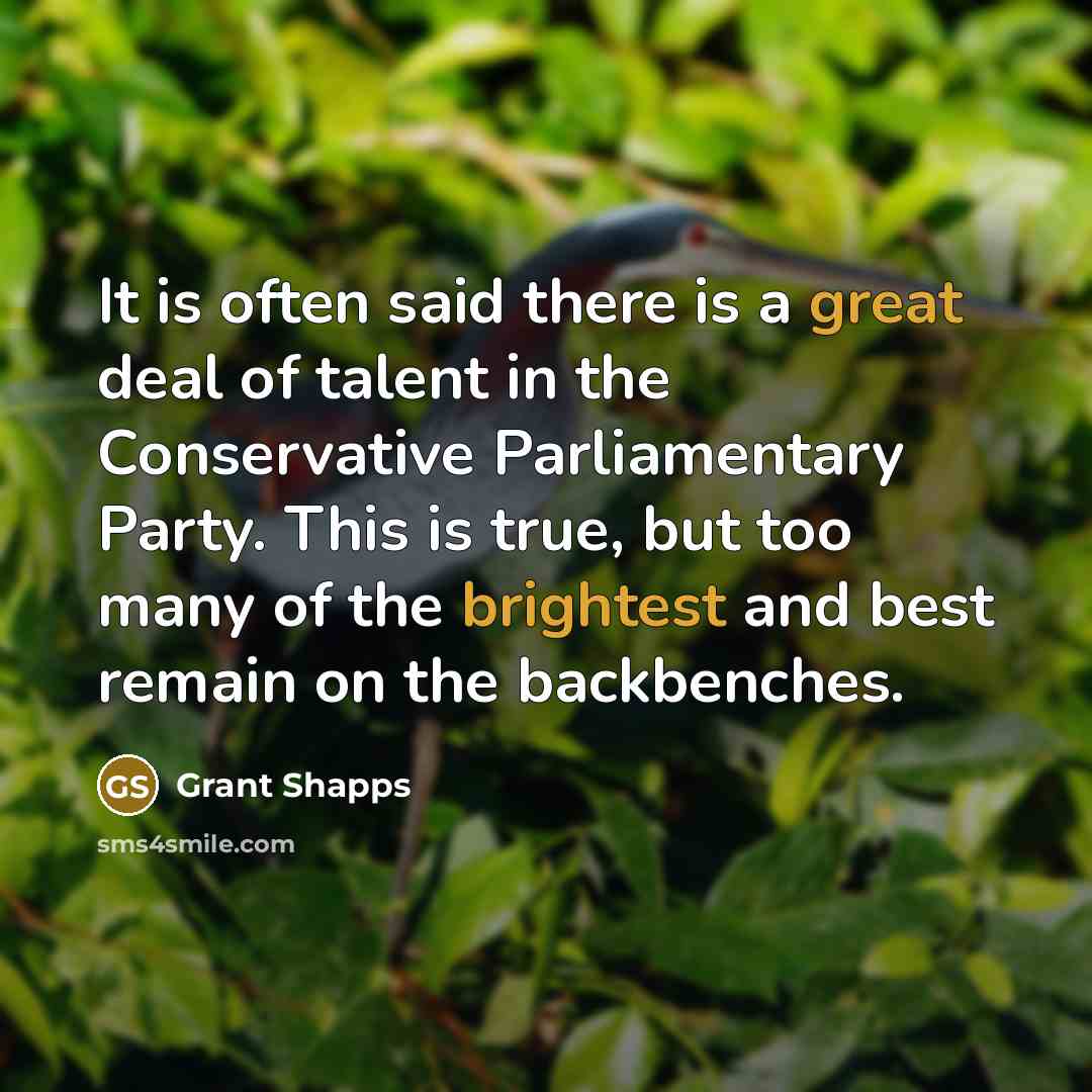 “It is often said there is a great deal of talent in the Conservative Parliamentary Party. This is true, but too many of the brightest and best remain on the backbenches.” quote by Grant Shapps