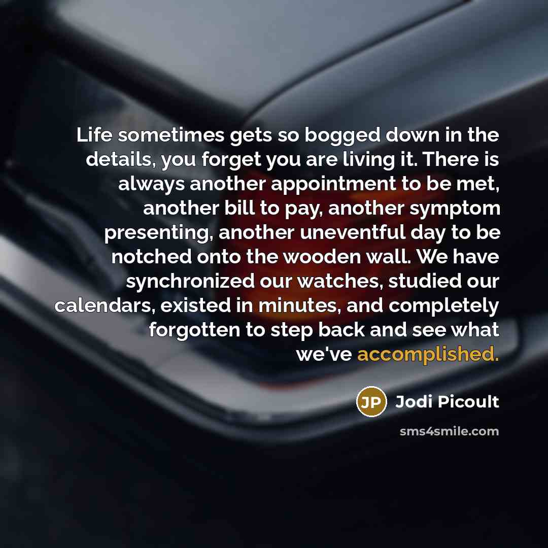 “Life sometimes gets so bogged down in the details, you forget you are living it. There is always another appointment to be met, another bill to pay, another symptom presenting, another uneventful day to be notched onto the wooden wall. We have synchronized our watches, studied our calendars…” quote by Jodi Picoult