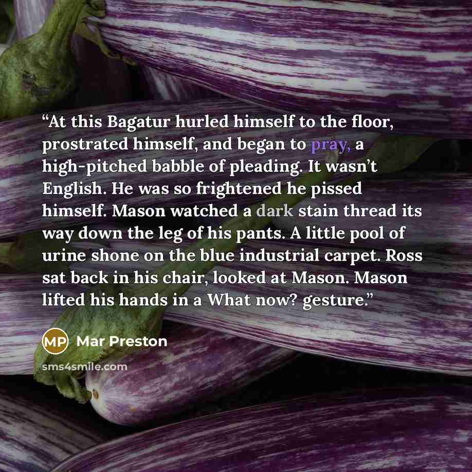 “At this Bagatur hurled himself to the floor, prostrated himself, and began to pray, a high-pitched babble of pleading. It wasn’t English. He was so frightened he pissed himself. Mason watched a dark stain thread its way down the leg of his pants. A little pool of urine shone on the blue industrial…” quote by Mar Preston