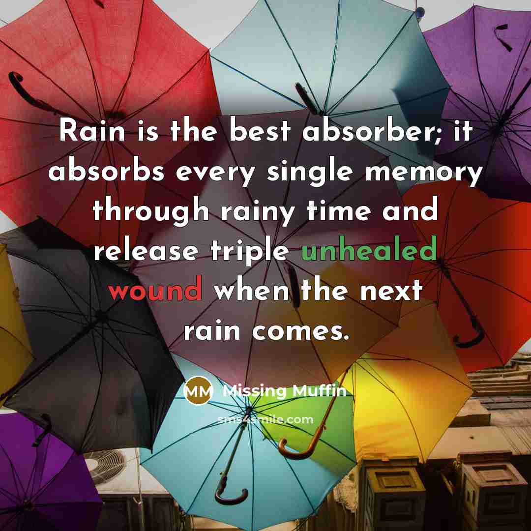 “Rain is the best absorber; it absorbs every single memory through rainy time and release triple unhealed wound when the next rain comes.” quote by Missing Muffin