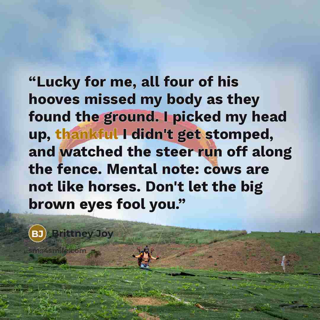 “Lucky for me, all four of his hooves missed my body as they found the ground. I picked my head up, thankful I didn't get stomped, and watched the steer run off along the fence. Mental note: cows are not like horses. Don't let the big brown eyes fool you.” quote by Brittney Joy