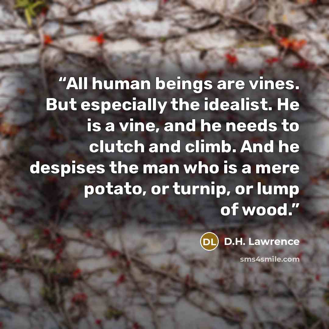 “All human beings are vines. But especially the idealist. He is a vine, and he needs to clutch and climb. And he despises the man who is a mere potato, or turnip, or lump of wood.” quote by D.H. Lawrence