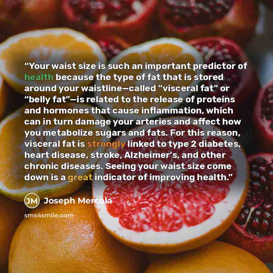 “Your waist size is such an important predictor of health because the type of fat that is stored around your waistline—called “visceral fat” or “belly fat”—is related to the release of proteins and hormones that cause inflammation, which can in turn damage your arteries and affect how you…” quote by Joseph Mercola