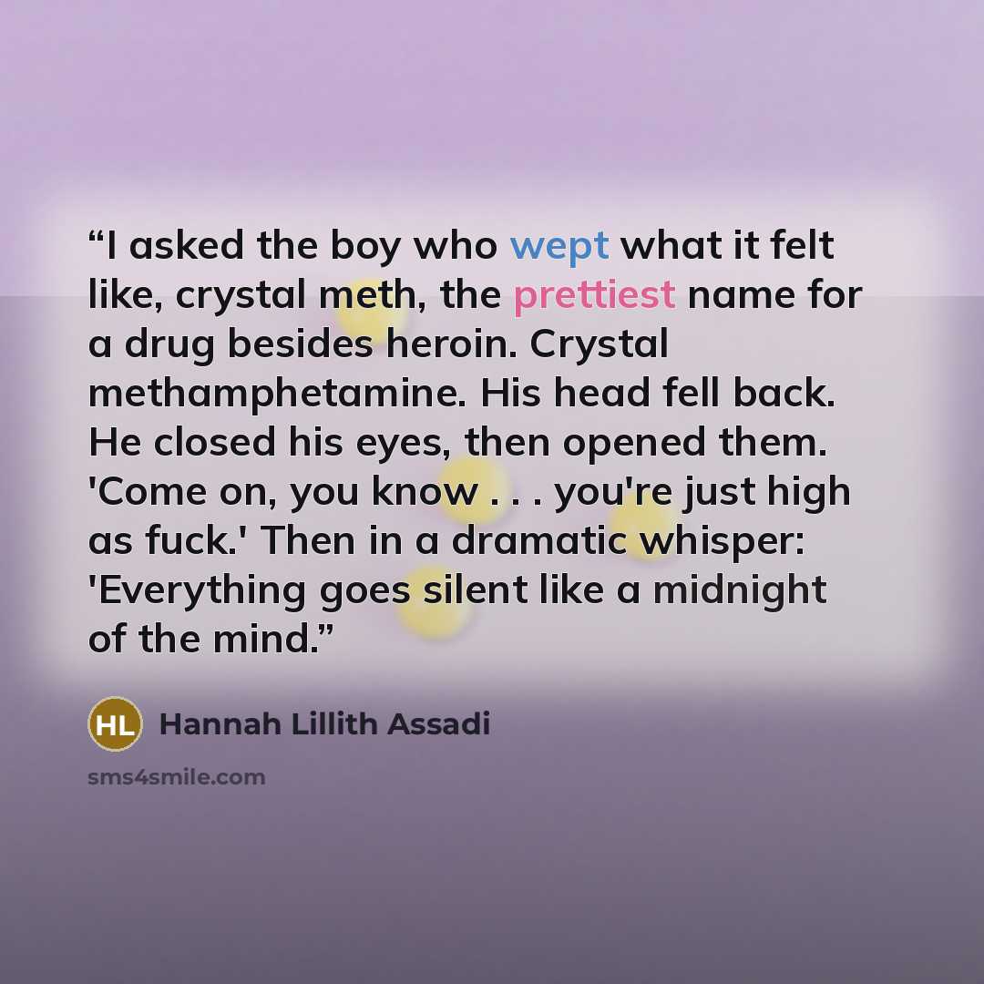 “I asked the boy who wept what it felt like, crystal meth, the prettiest name for a drug besides heroin. Crystal methamphetamine. His head fell back. He closed his eyes, then opened them. 'Come on, you know . . . you're just high as fuck.' Then in a dramatic whisper: 'Everything goes silent like a…” quote by Hannah Lillith Assadi