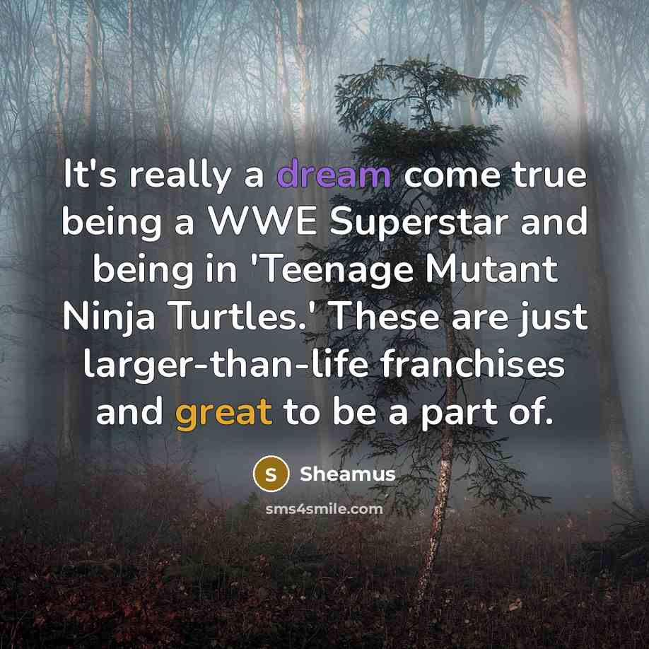 “It's really a dream come true being a WWE Superstar and being in 'Teenage Mutant Ninja Turtles.' These are just larger-than-life franchises and great to be a part of.” quote by Sheamus
