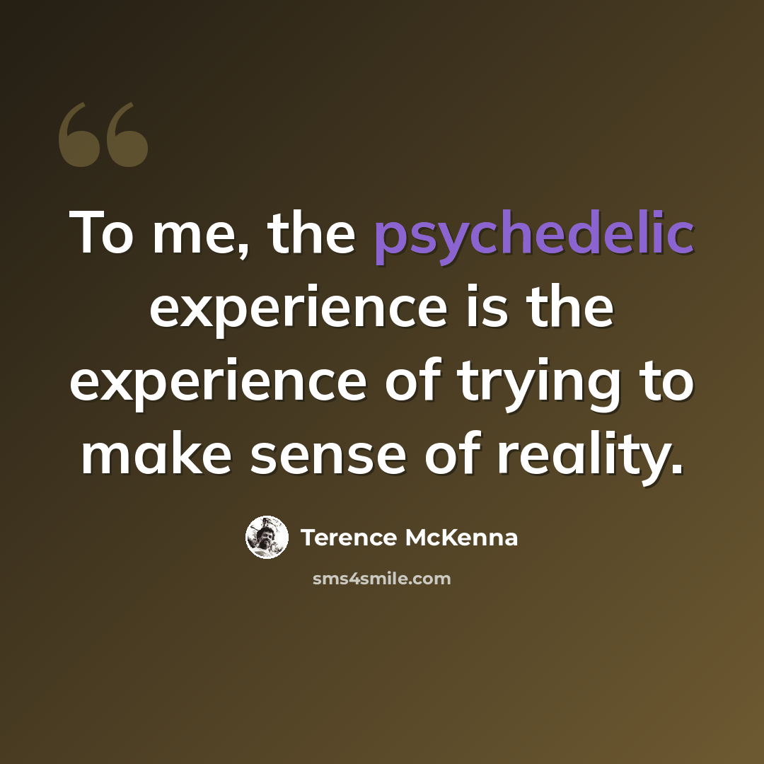 “To me, the psychedelic experience is the experience of trying to make sense of reality.” quote by Terence McKenna