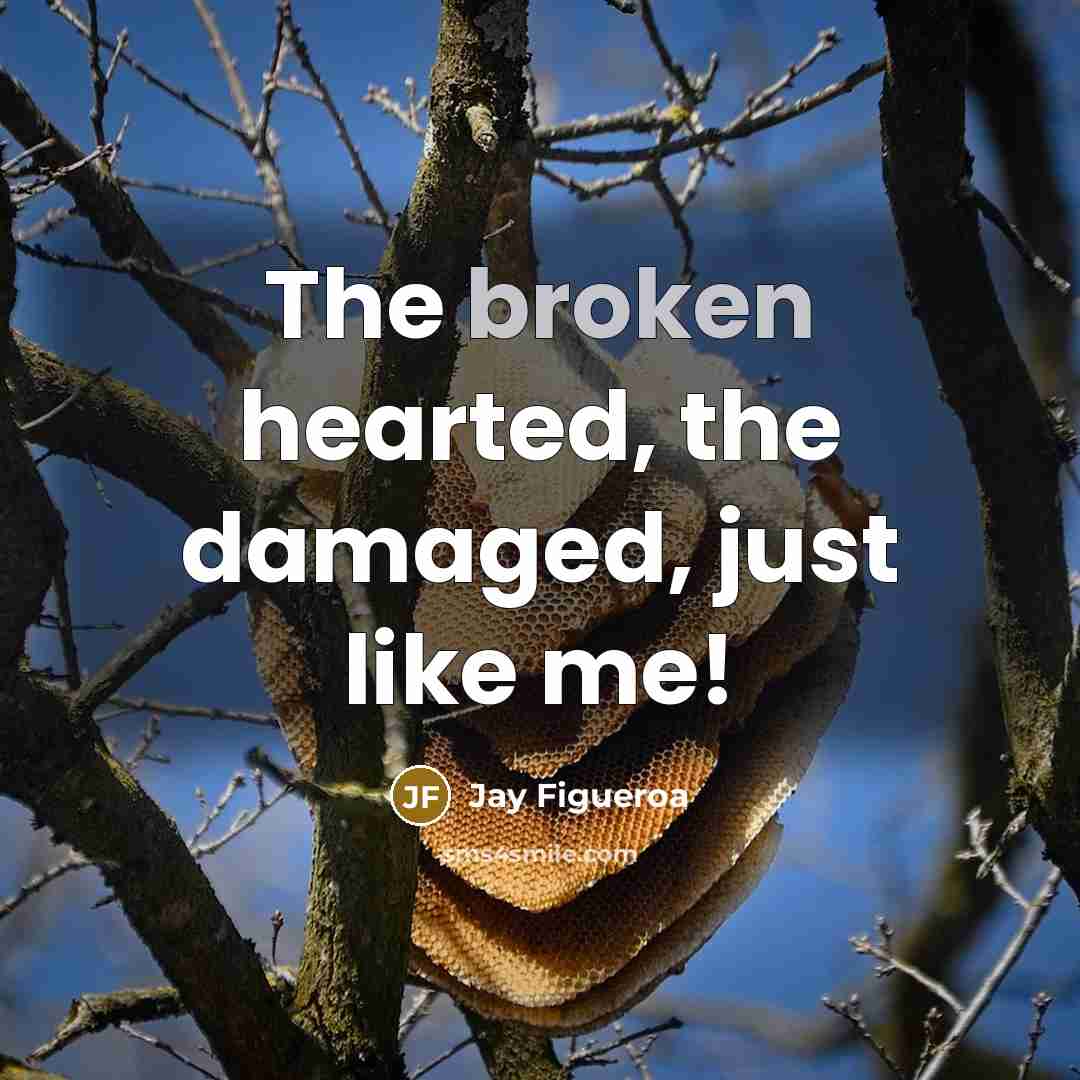 “The broken hearted, the damaged, just like me!” quote by Jay Figueroa