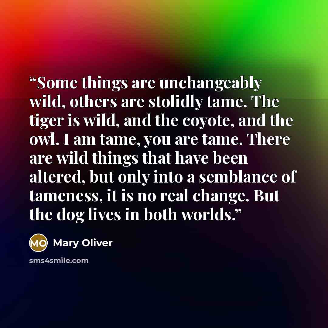 “Some things are unchangeably wild, others are stolidly tame. The tiger is wild, and the coyote, and the owl. I am tame, you are tame. There are wild things that have been altered, but only into a semblance of tameness, it is no real change. But the dog lives in both worlds.” quote by Mary Oliver
