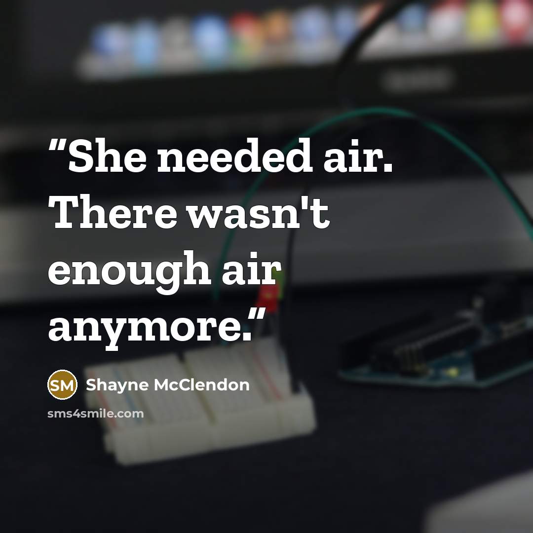 “She needed air. There wasn't enough air anymore.” quote by Shayne McClendon