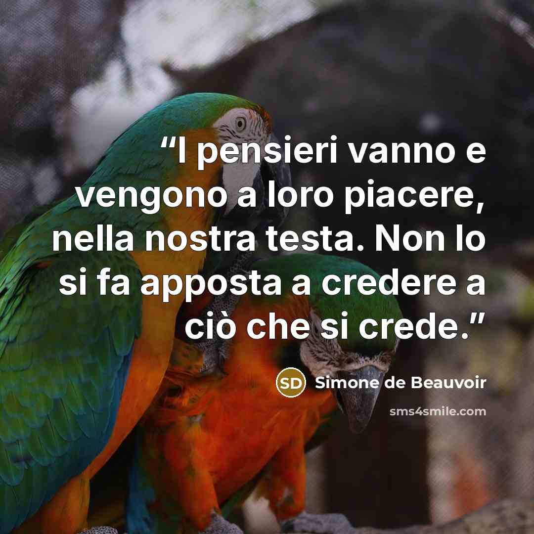 “I pensieri vanno e vengono a loro piacere, nella nostra testa. Non lo si fa apposta a credere a ciò che si crede.” quote by Simone de Beauvoir