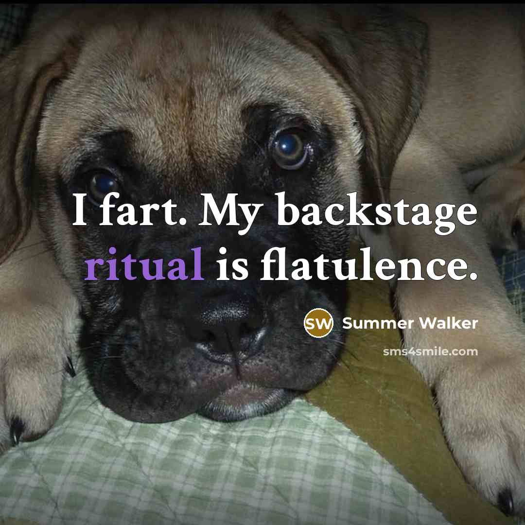 “I fart. My backstage ritual is flatulence.” quote by Summer Walker