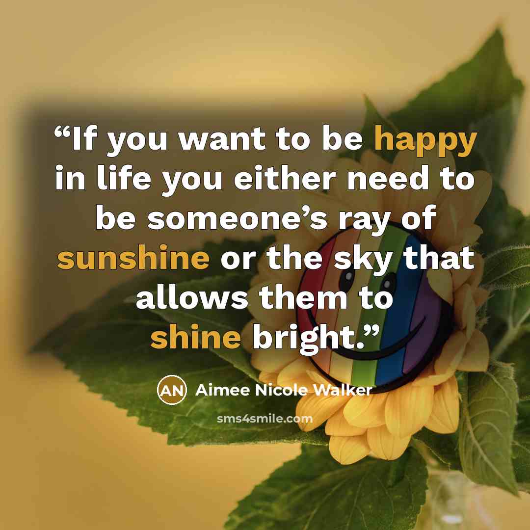 “If you want to be happy in life you either need to be someone’s ray of sunshine or the sky that allows them to shine bright.” quote by Aimee Nicole Walker