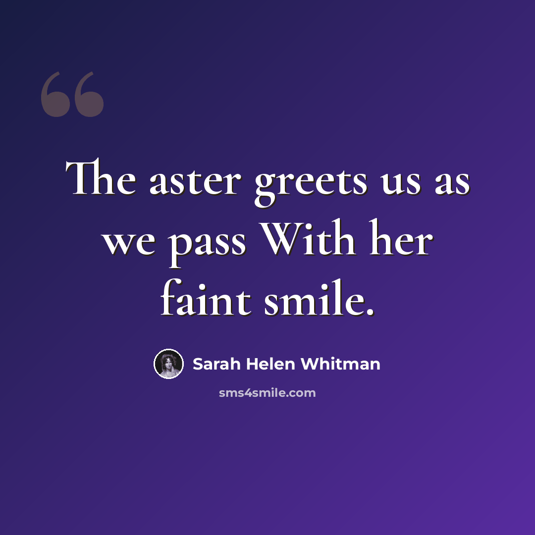 “The aster greets us as we pass With her faint smile.” quote by Sarah Helen Whitman