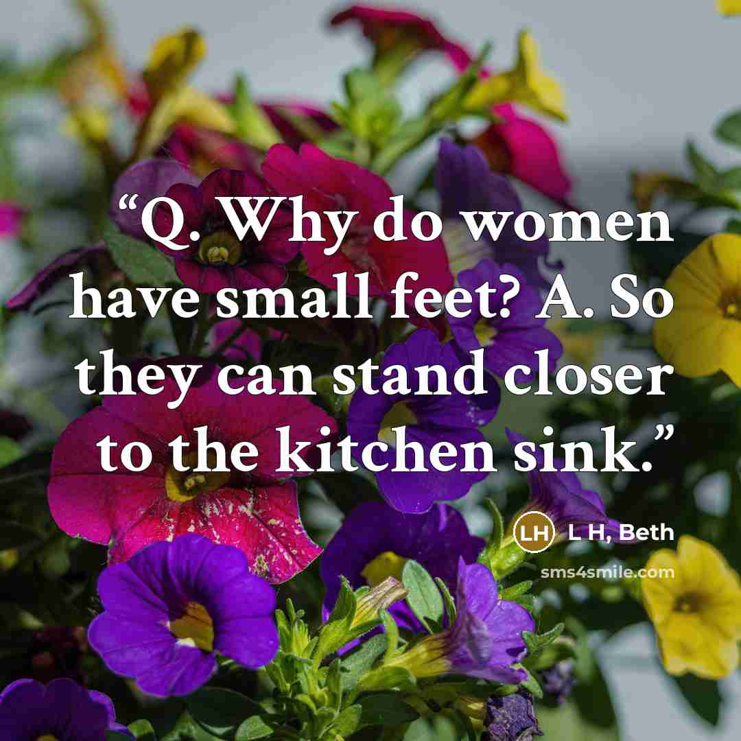 “Q. Why do women have small feet? A. So they can stand closer to the kitchen sink.” quote by L H, Beth