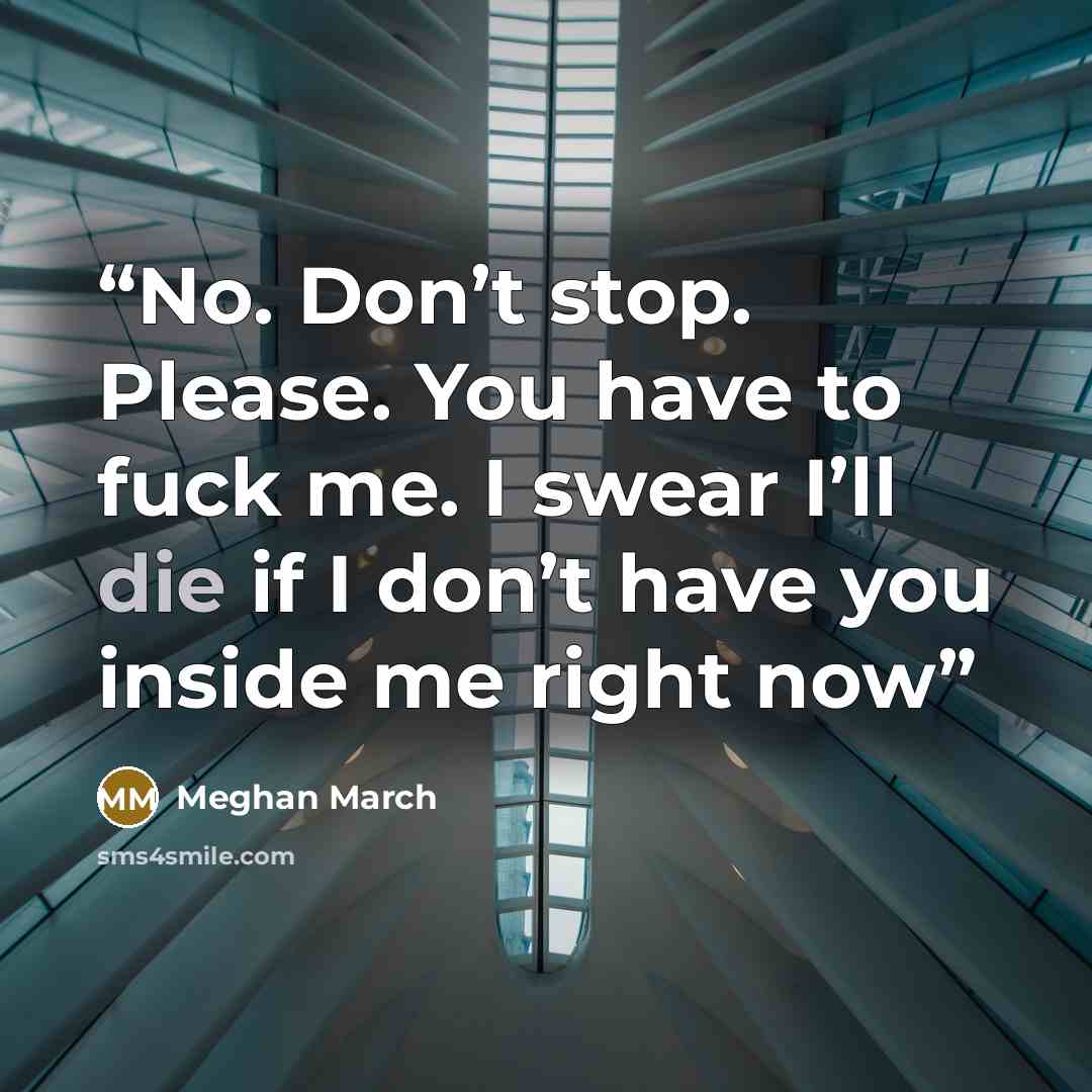 “No. Don’t stop. Please. You have to fuck me. I swear I’ll die if I don’t have you inside me right now” quote by Meghan March