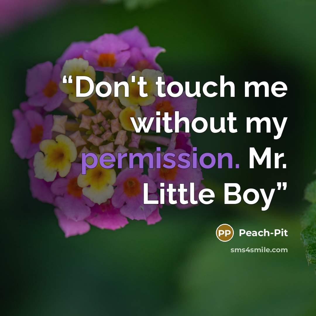 “Don't touch me without my permission. Mr. Little Boy” quote by Peach-Pit