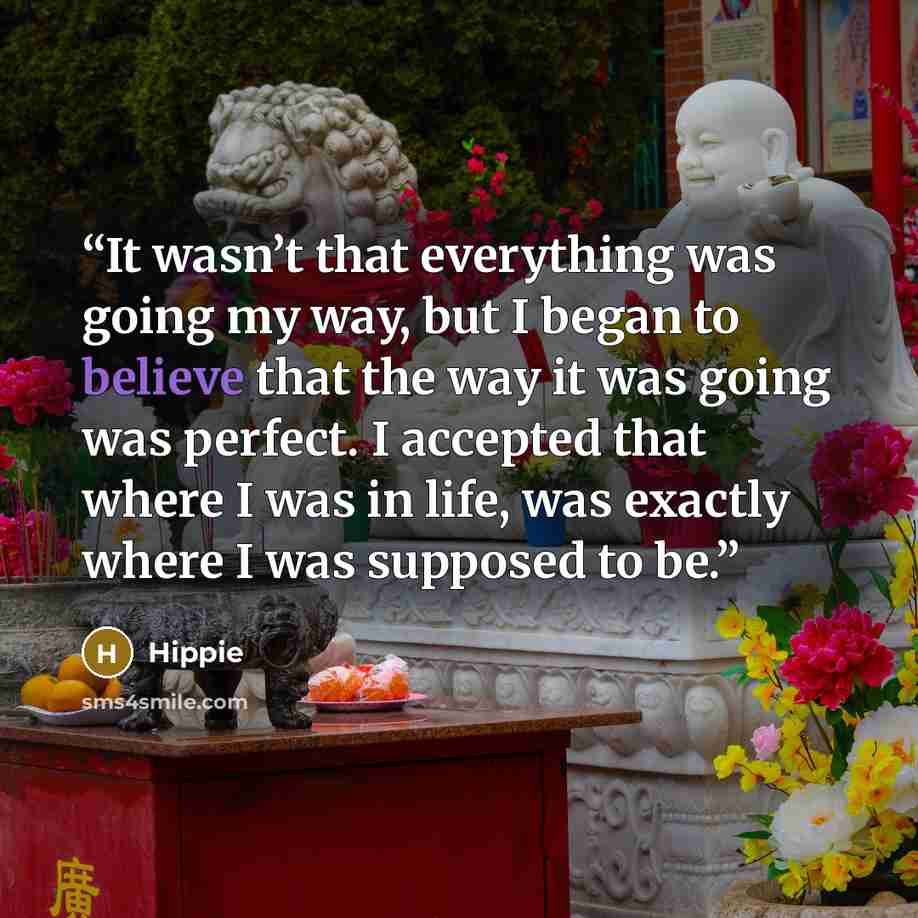 “It wasn’t that everything was going my way, but I began to believe that the way it was going was perfect. I accepted that where I was in life, was exactly where I was supposed to be.” quote by Hippie