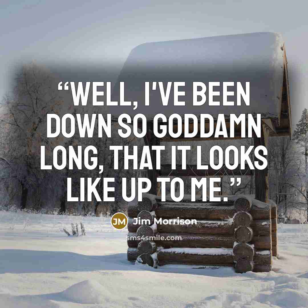 “Well, I've been down so Goddamn long, that it looks like up to me.” quote by Jim Morrison