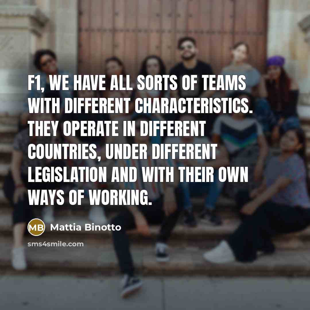 “F1, we have all sorts of teams with different characteristics. They operate in different countries, under different legislation and with their own ways of working.” quote by Mattia Binotto