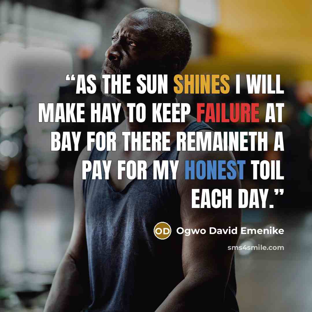 “As the sun shines I will make hay To keep failure at bay For there remaineth a pay For my honest toil each day.” quote by Ogwo David Emenike