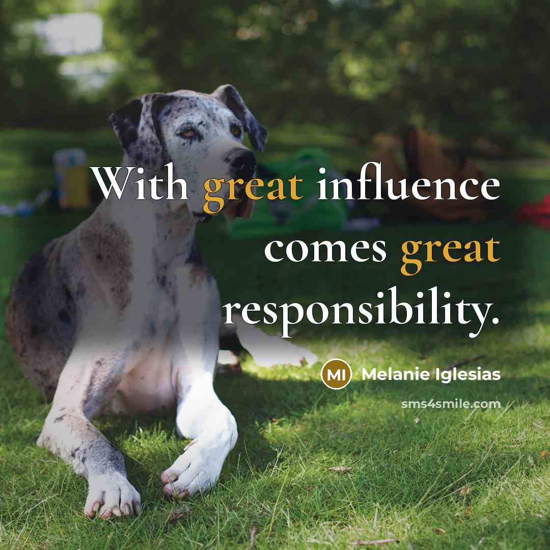“With great influence comes great responsibility.” quote by Melanie Iglesias