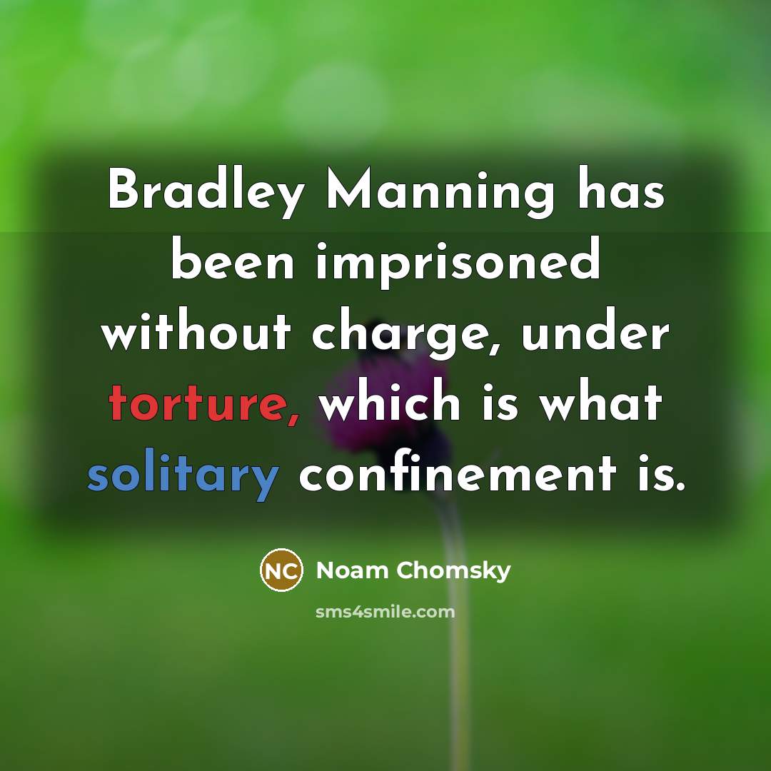 “Bradley Manning has been imprisoned without charge, under torture, which is what solitary confinement is.” quote by Noam Chomsky