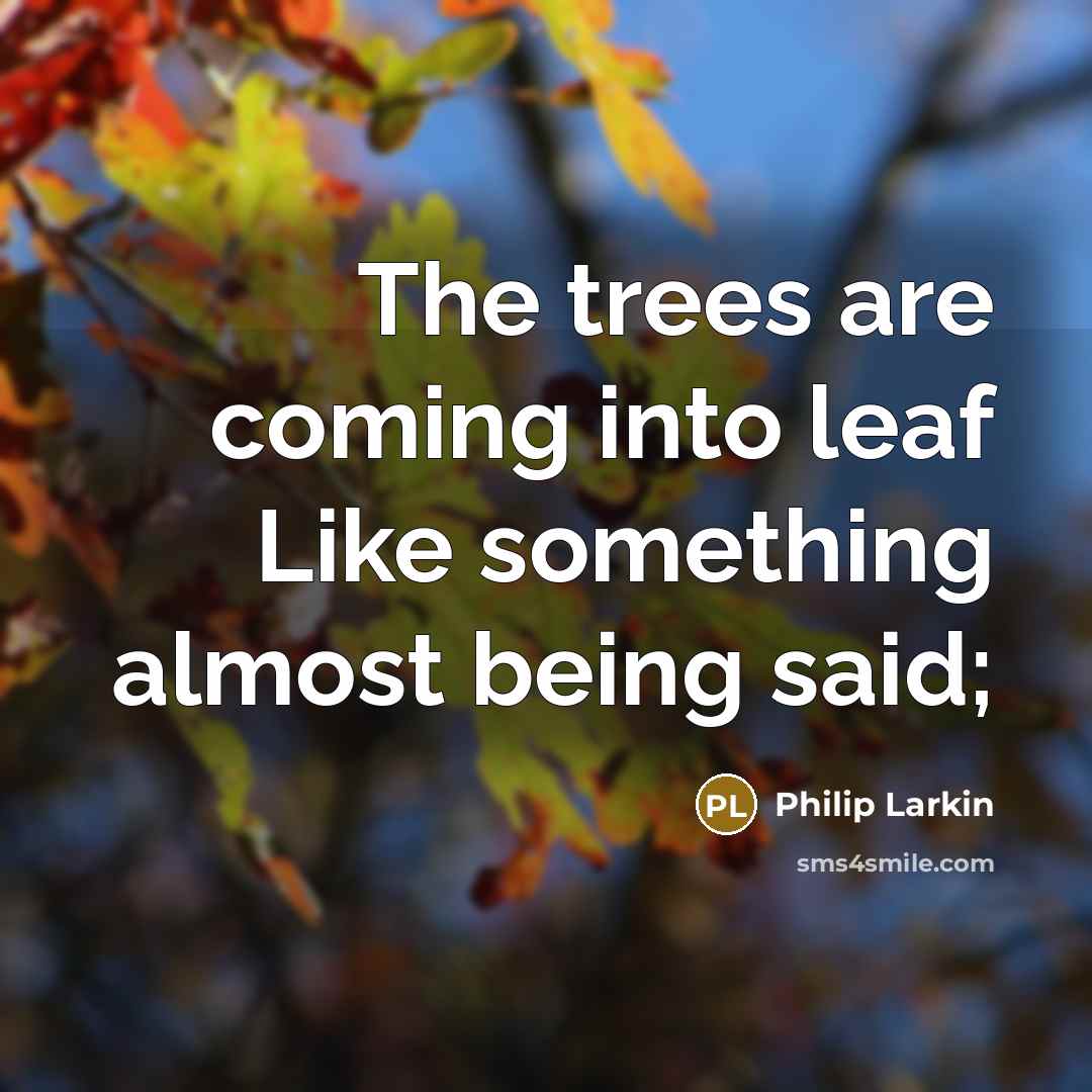 “The trees are coming into leaf Like something almost being said;” quote by Philip Larkin