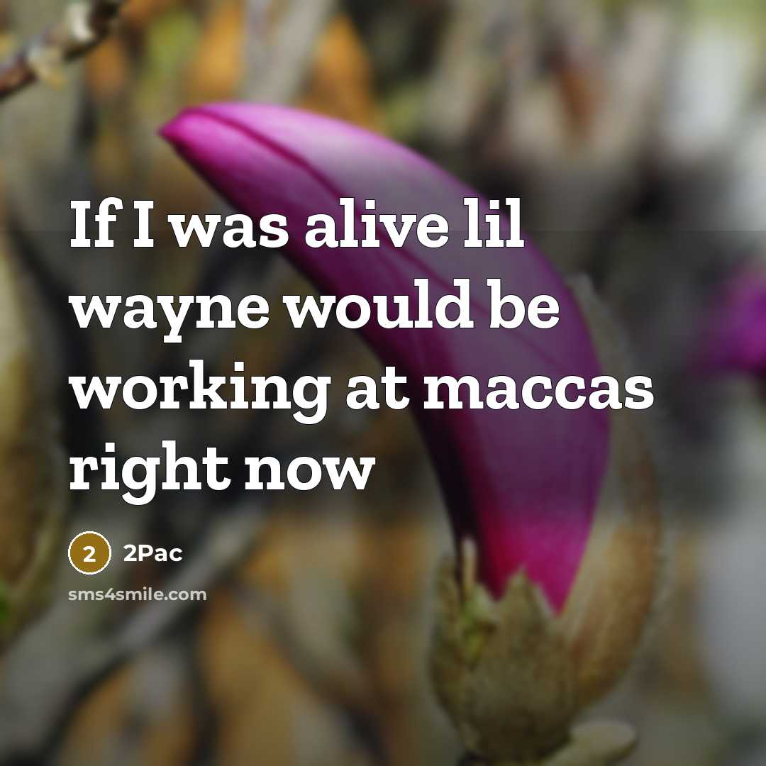 “If I was alive lil wayne would be working at maccas right now” quote by 2pac