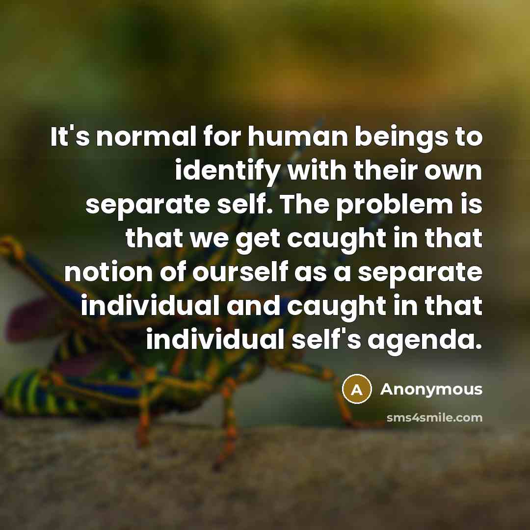 “It's normal for human beings to identify with their own separate self. The problem is that we get caught in that notion of ourself as a separate individual and caught in that individual self's agenda.” quote by Anonymous