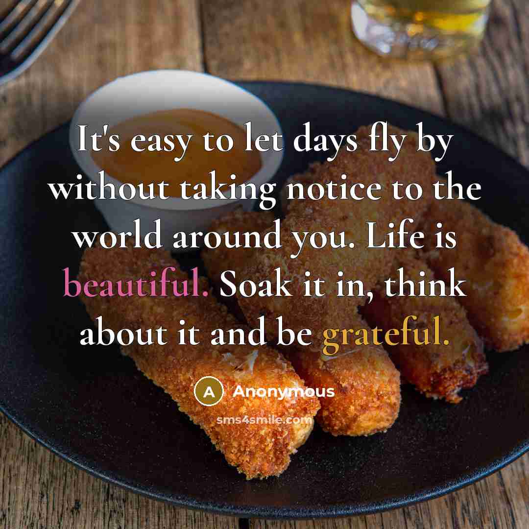 “It's easy to let days fly by without taking notice to the world around you. Life is beautiful. Soak it in, think about it and be grateful.” quote by Anonymous