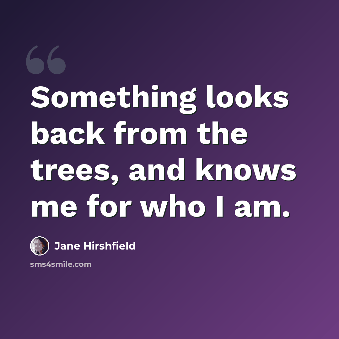 “Something looks back from the trees, and knows me for who I am.” quote by Jane Hirshfield