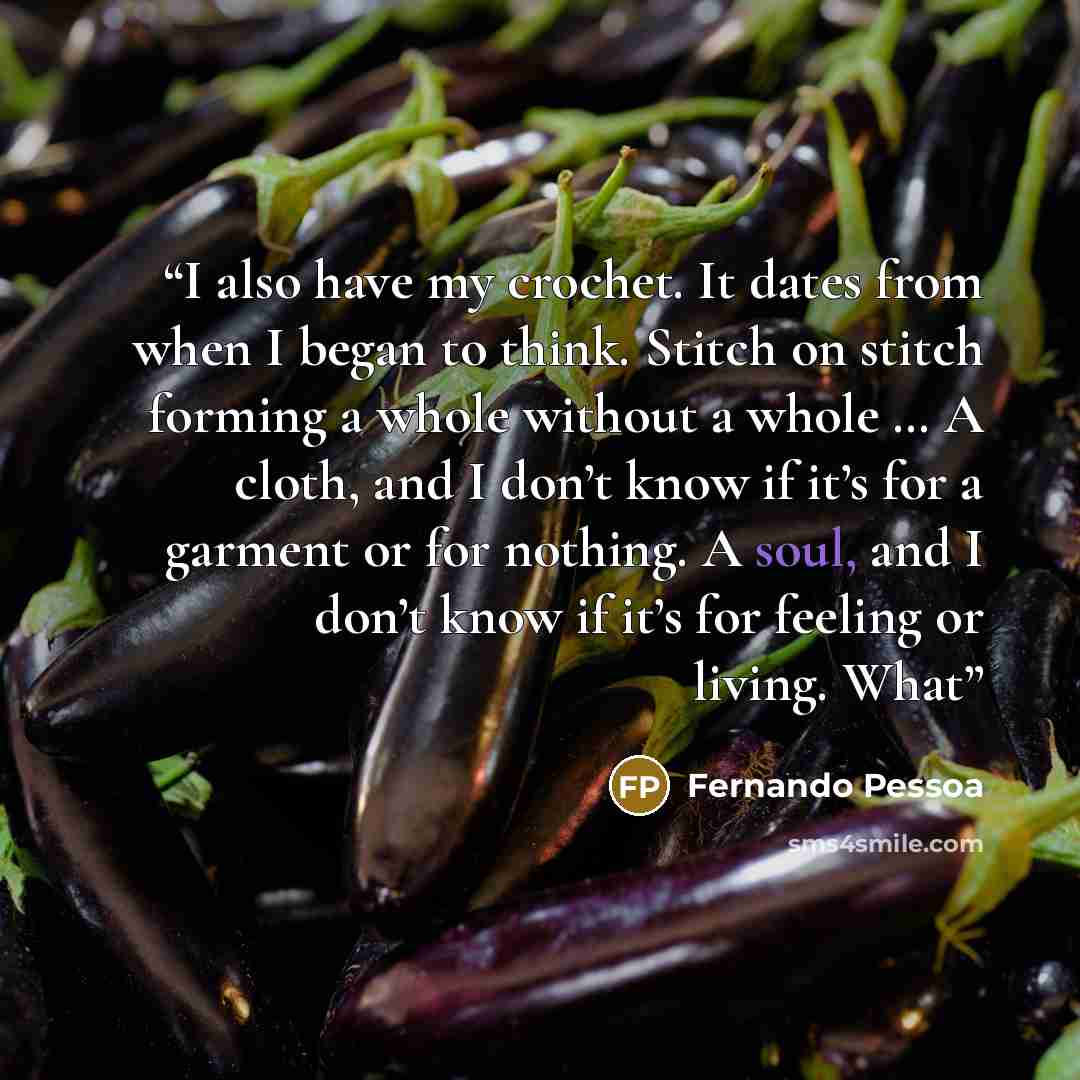 “I also have my crochet. It dates from when I began to think. Stitch on stitch forming a whole without a whole … A cloth, and I don’t know if it’s for a garment or for nothing. A soul, and I don’t know if it’s for feeling or living. What” quote by Fernando Pessoa