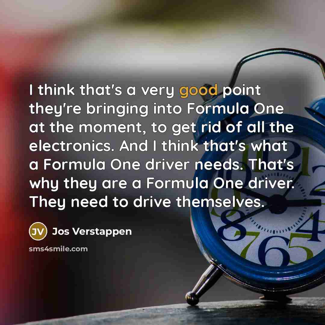“I think that's a very good point they're bringing into Formula One at the moment, to get rid of all the electronics. And I think that's what a Formula One driver needs. That's why they are a Formula One driver. They need to drive themselves.” quote by Jos Verstappen