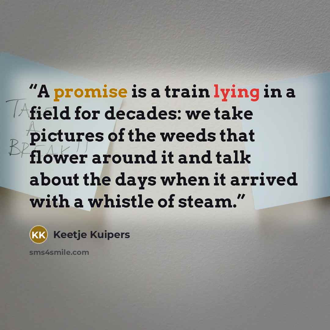“A promise is a train lying in a field for decades: we take pictures of the weeds that flower around it and talk about the days when it arrived with a whistle of steam.” quote by Keetje Kuipers
