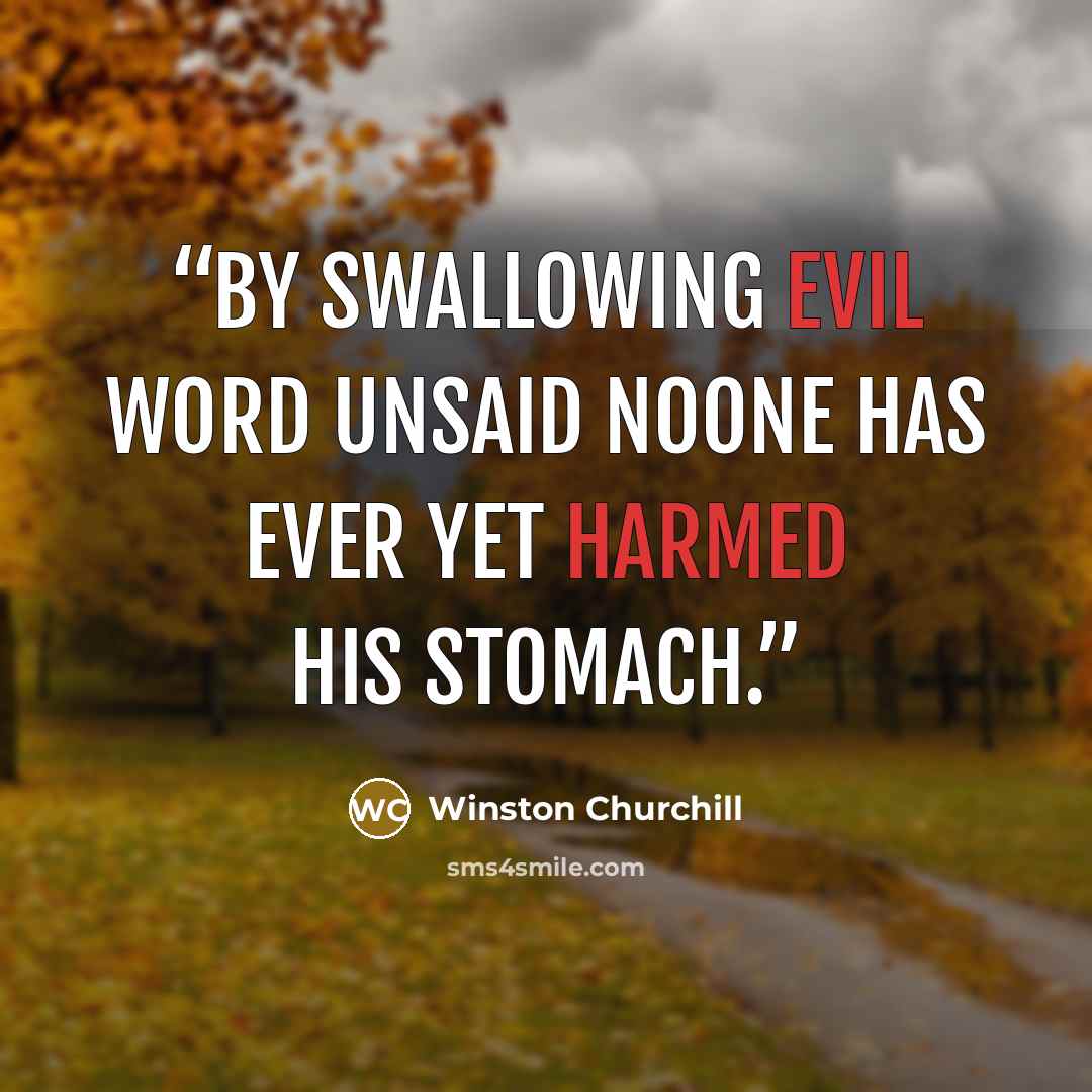 “By swallowing evil word unsaid noone has ever yet harmed his stomach.” quote by Winston Churchill