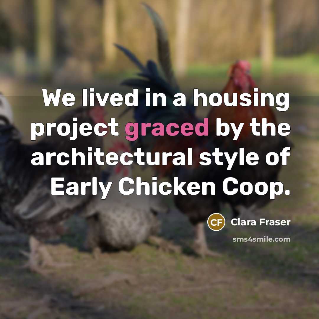 “We lived in a housing project graced by the architectural style of Early Chicken Coop.” quote by Clara Fraser
