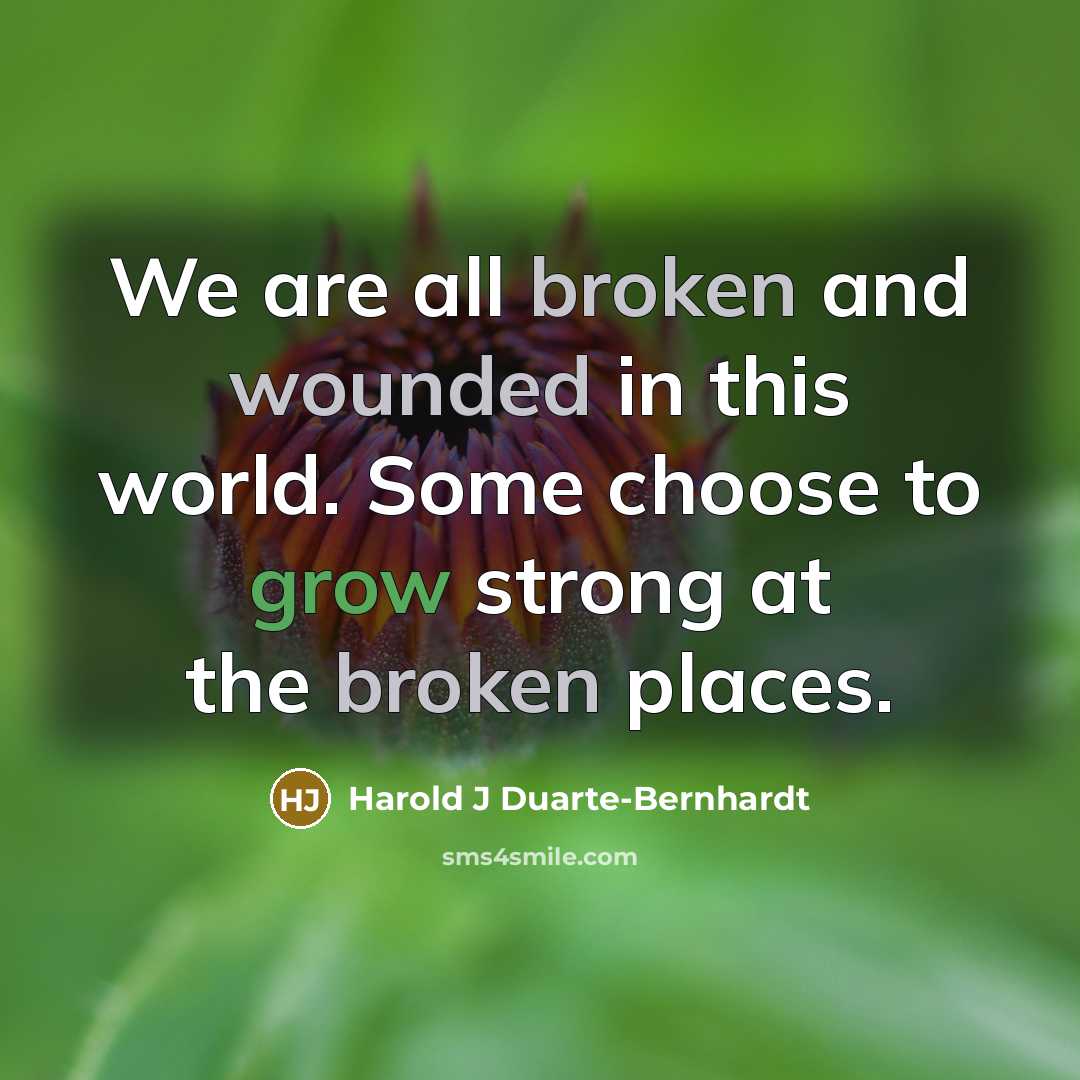 “We are all broken and wounded in this world. Some choose to grow strong at the broken places.” quote by Harold J Duarte-Bernhardt