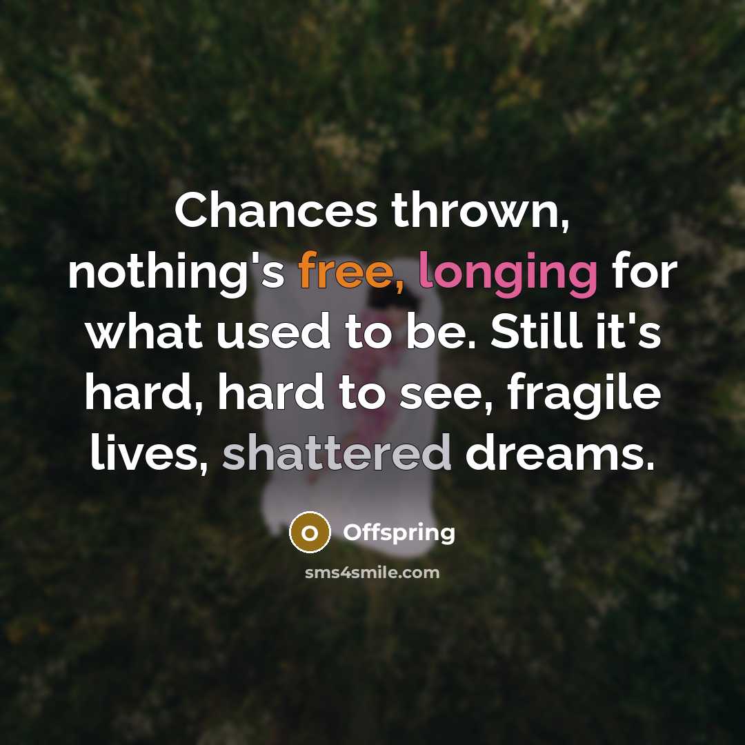 “Chances thrown, nothing's free, longing for what used to be. Still it's hard, hard to see, fragile lives, shattered dreams.” quote by Offspring