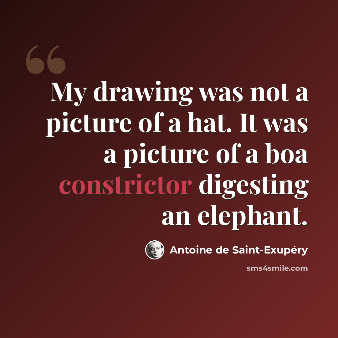 “My drawing was not a picture of a hat. It was a picture of a boa constrictor digesting an elephant.” quote by Antoine de Saint-Exupery