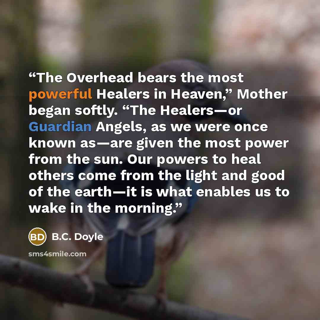 “The Overhead bears the most powerful Healers in Heaven,” Mother began softly. “The Healers—or Guardian Angels, as we were once known as—are given the most power from the sun. Our powers to heal others come from the light and good of the earth—it is what enables us to wake in the morning.” quote by B.C. Doyle