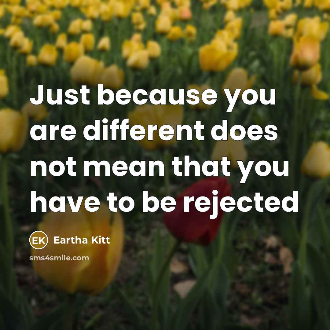 “Just because you are different does not mean that you have to be rejected” quote by Eartha Kitt